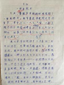 一张旧照片作文200字 一张旧照片作文300字