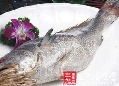 渔民捕获156斤怪鱼 台湾渔民捕获45.5公斤大米鱼 米鱼怎么做最好吃（2）