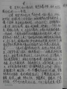 人与人互相关爱作文800 关于互相关爱的作文600字