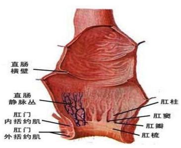 治疗肛门瘙痒最佳方法 肛门瘙痒怎么办？