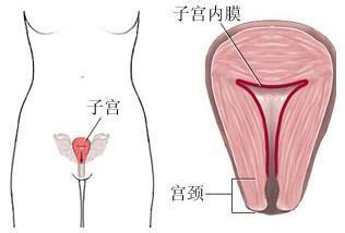 功能性子宫出血 功能性子宫出血调理 子宫出血如何调理