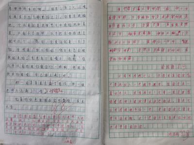 爱如阳光作文400字 爱如阳光作文