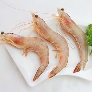 安氏白虾 白虾 白虾-分类，白虾-安氏白虾