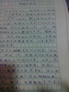 观察昆虫作文 观察昆虫作文100字