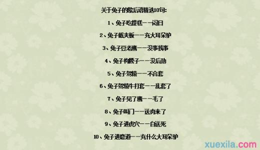 兔的。谚语 关于兔的谚语