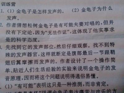 我不再懦弱作文800字 我不再懦弱作文