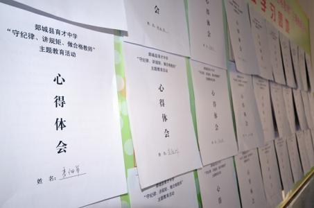 教师纪律整顿心得体会 教师工作纪律心得体会