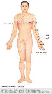 手厥阴心包经循行图 心包经 心包经-概述，心包经-循行