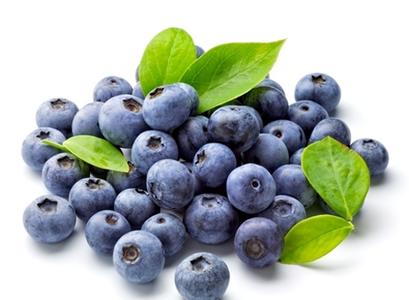 蓝莓的营养价值 蓝莓的营养价值 蓝莓怎么吃最有营养