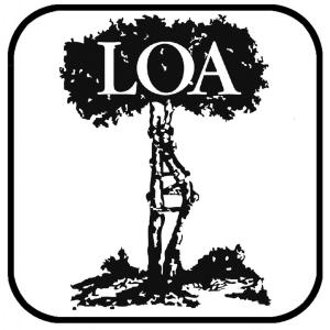 医学模式概述 LOA LOA-概述，LOA-医学上的LOA