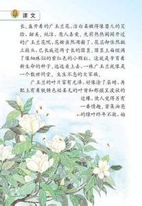 广玉兰的寓意 关于广玉兰的作文