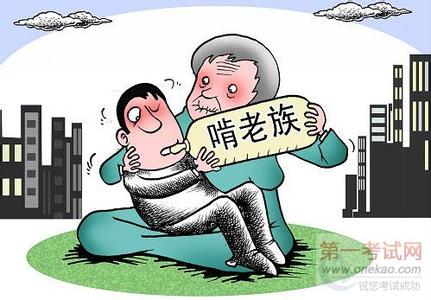 2017年上海啃老族人群 啃老族 啃老族-特征人群，啃老族-社会特性