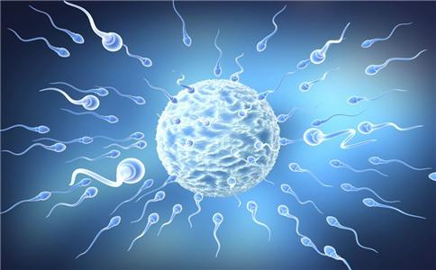 提高精子活力的保健品 如何提高精子的质量