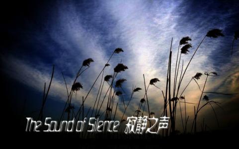 sound of silence女声 The sound of silence