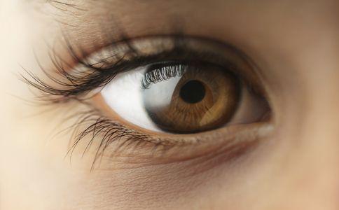 眼睑在哪个位置 眼睑 眼睑-简介，眼睑-分布位置