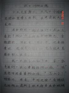 这里有什么作文600字 这里有什么作文