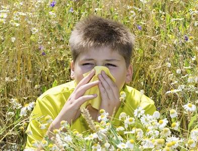 花粉过敏症状 花粉过敏怎么办 4招有效应对花粉过敏症状