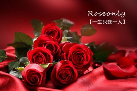 描写玫瑰花的语句 描写玫瑰花的语句 成功的花