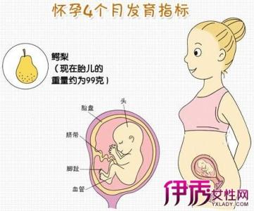 一小时胎动多少次正常 怀孕四个月有胎动吗 胎动多少次算正常