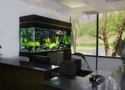 办公室鱼缸摆放风水 办公室鱼缸应该怎么摆放？
