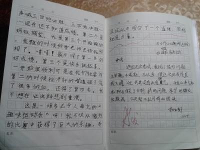 趣味运动会作文600字 关于趣味运动会的作文