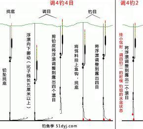 钓鲤鱼用几号钩 钓鲤鱼如何调漂好