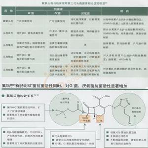 氟氧头孢钠 氟氧头孢 氟氧头孢-【其它名称】，氟氧头孢-【简介】