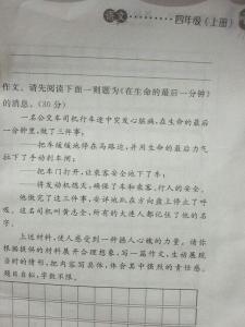 责任感作文800字 关于责任感的作文