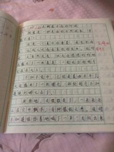 日记一则700字记事 日记一则500字