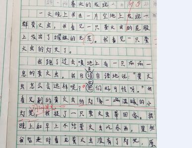 我发现了什么 作文500 我发现了什么作文500字