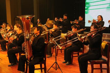 铜管乐队的配置 铜管乐队 铜管乐队-概念，铜管乐队-乐器配置