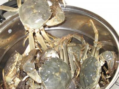 活的大闸蟹怎么保存 怎样保存活的大闸蟹？