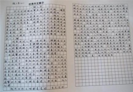 爱国主义观后感300字 爱国主义作文300字