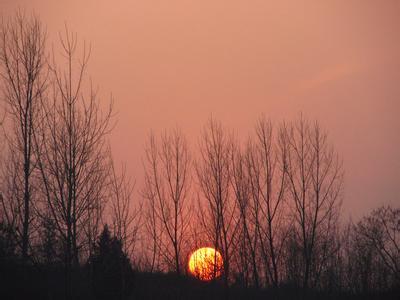 夕阳西下伤感的句子 描写夕阳西下的句子