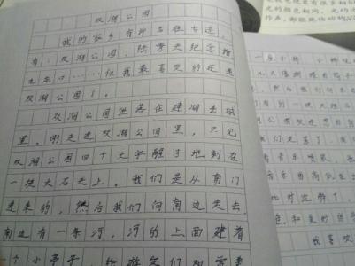 美丽的花园作文300字 美丽的花园作文400字