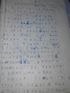 写物品的作文300字 写物品的作文400字