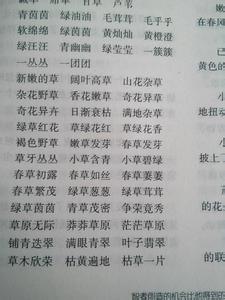 表示颜色的词语2个字 表示颜色的词语