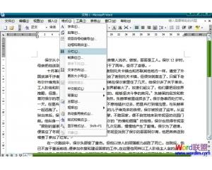 word文档怎么分栏 在Word2003文档中怎么分栏