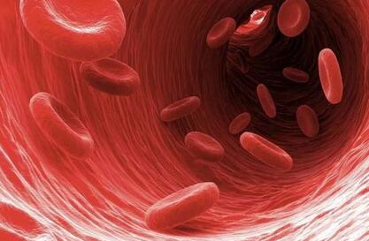 血液粘稠是不是血脂高 血液粘稠是什么病？血脂粘稠怎么办？