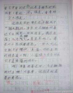 家乡的秋天300字 家乡的秋天作文400字