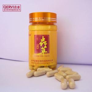 美国虫草肾黄金软胶囊 黄金虫草胶囊 黄金虫草胶囊-产品介绍,黄金虫草胶囊-科学机理