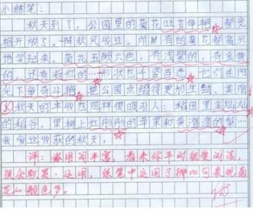 秋天来了作文200字 秋天来了作文300字