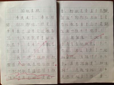 关于春天的600字作文 春天作文600字