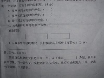 语文考试反思2000字 语文考试反思500字