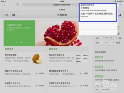 safari设置默认浏览器 如何在safari中默认使用标签浏览？