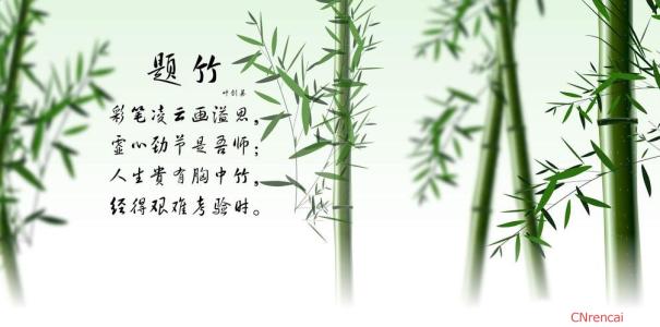 写竹子的文章 关于竹子精神的作文
