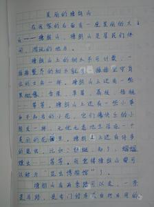 最美的事作文800字 最美的事作文