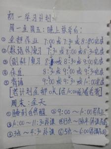 小学四年级学习计划