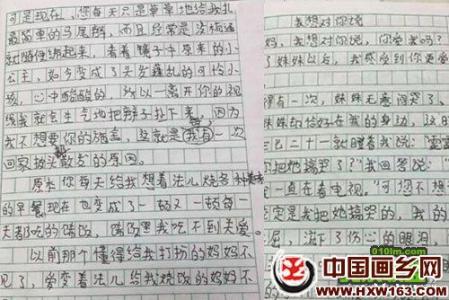 被遗忘的角落作文800字 被遗忘的角落作文