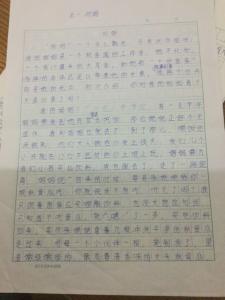 母爱的作文300字左右 母爱的作文300字